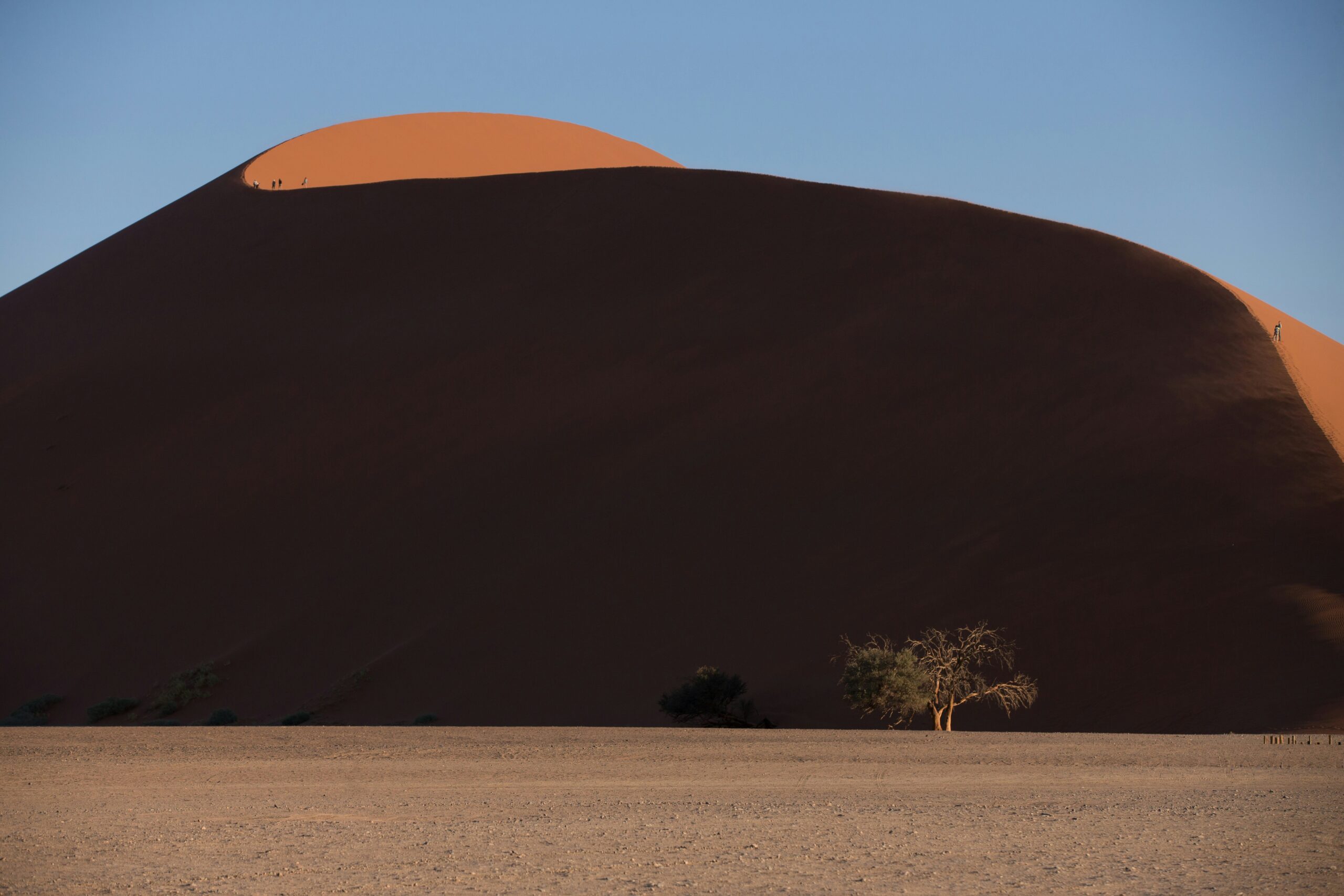 jean-wimmerlin-hQE67UNruEE-unsplash