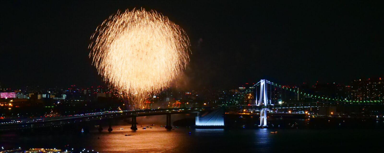 Vista noturna de Tóquio iluminada durante o Ano Novo japonês