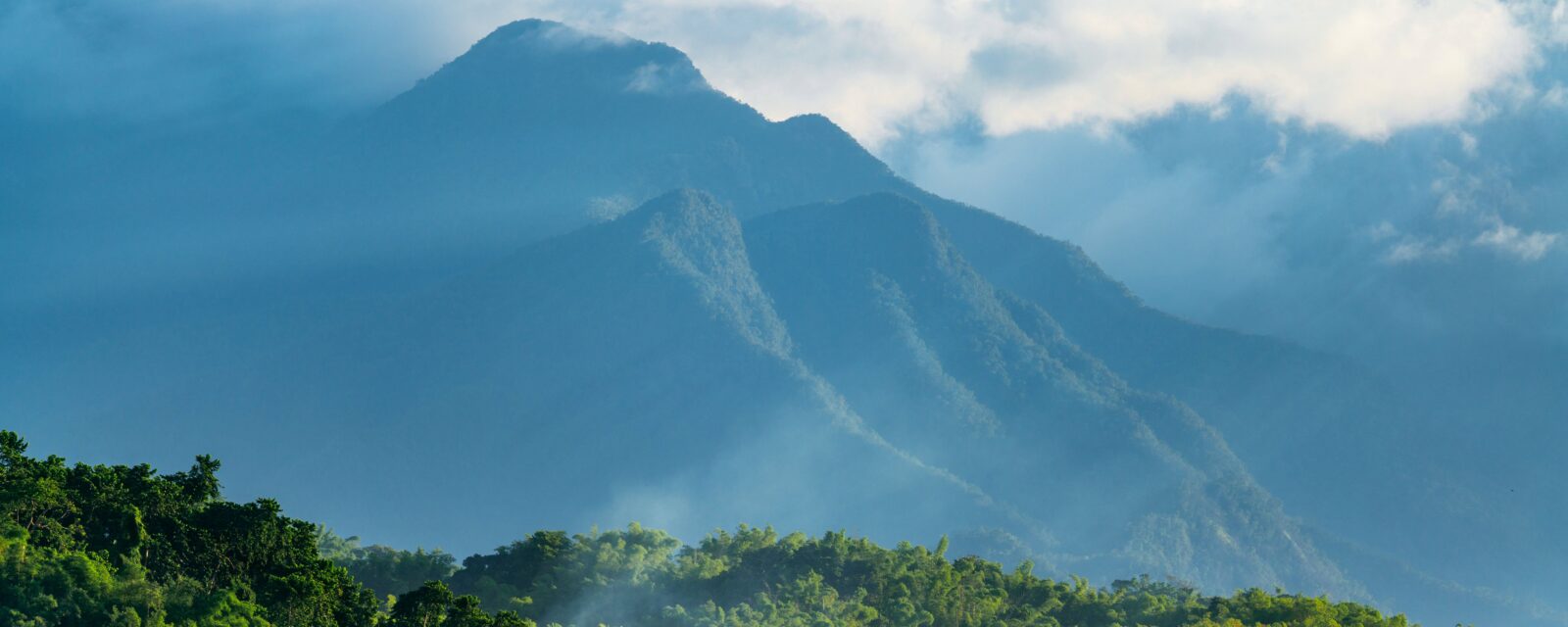 O que fazer na Jamaica - cachoeira e natureza tropical da ilha