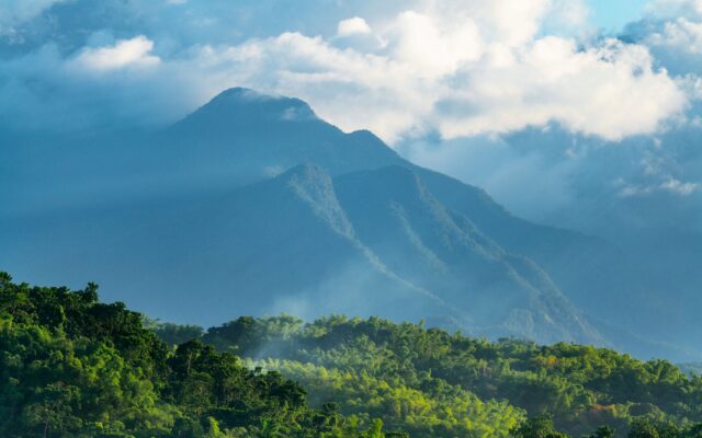 O que fazer na Jamaica - cachoeira e natureza tropical da ilha